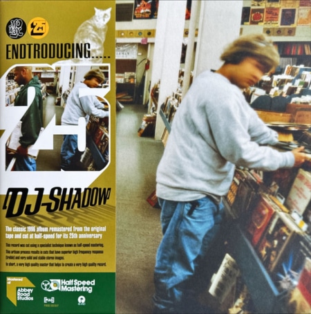 Endtroducing
