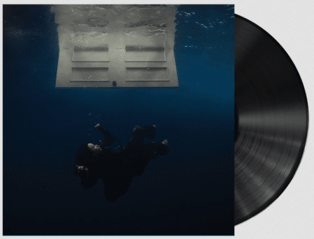 Hit me Hard and Soft Lp