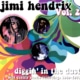 Diggin' In The Dust Vol. 2 Lp