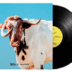 Sexy Zebras - Bravo Lp